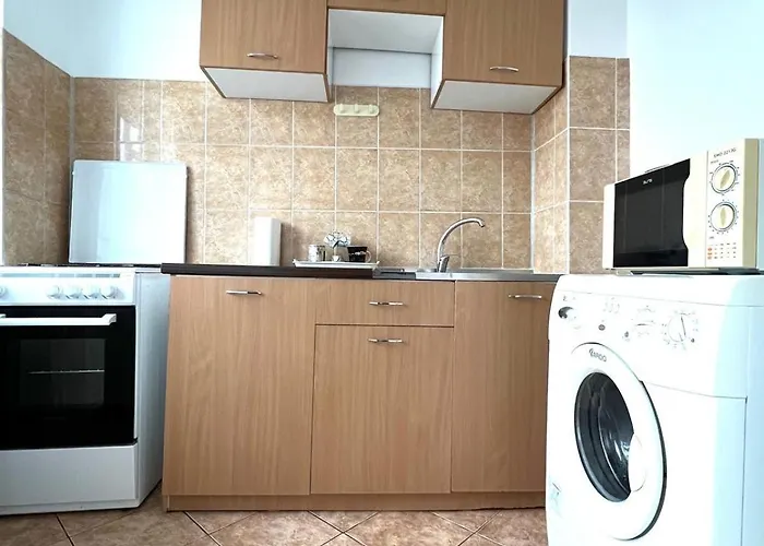 Garsonieră Modernă Pentru Sejururi Scurte Ramnicu Sărat -dristor *